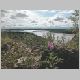 Tanana River at Broken Mammoth.html